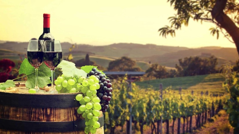 Regulation of the Viticulture and Wine Industry is Tightening