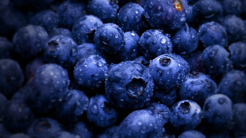 GCCA releases blueberry market study – exports up 66%
